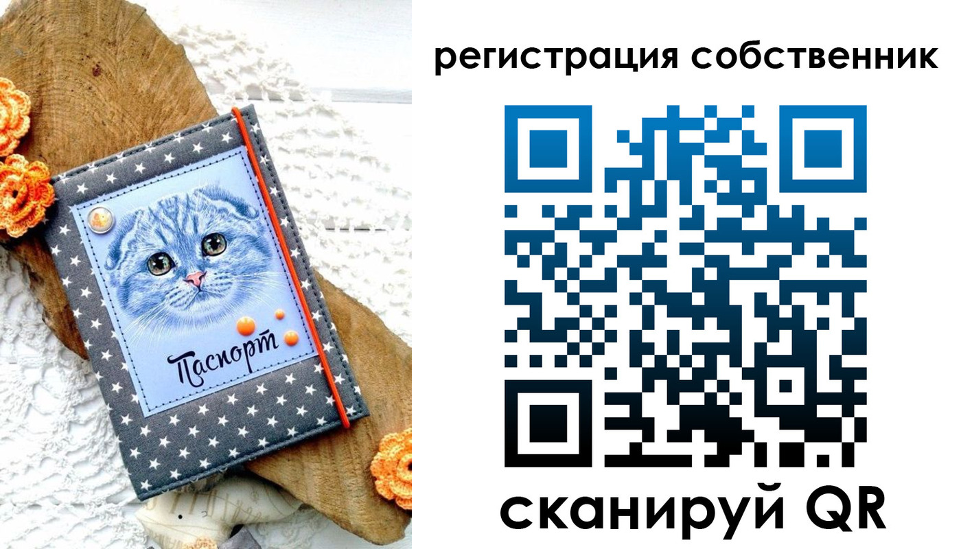 прописка для работы в Кувшиново